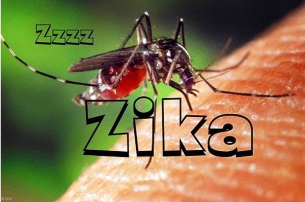 Các trường hợp nhiễm virus Zika leo thang với trung bình 10 trường hợp mỗi tuần tại TP HCM Các trường hợp nhiễm virus Zika leo thang với trung bình 10 trường hợp mỗi tuần tại TP HCM