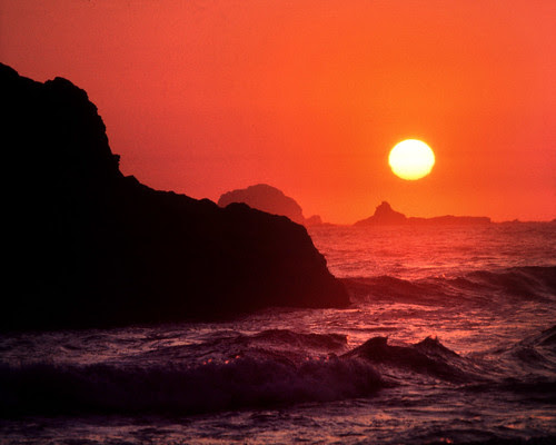 Earth Day: A Global Warning!