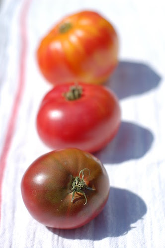 Tomatoes from Eatwell Farm