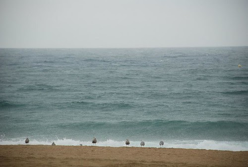 Barcellona - il mare di Barceloneta
