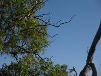 Free Image Hosting at www.ImageShack.us