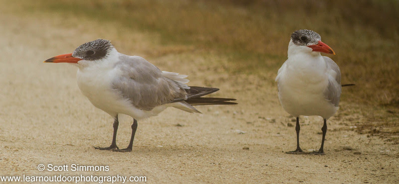 Photo & Video Sharing by SmugMug Photo & Video Sharing by SmugMug