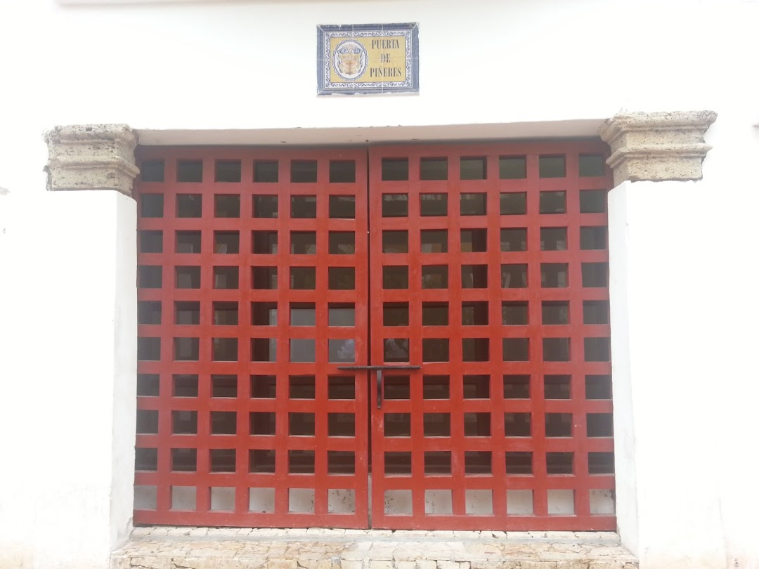 PUERTA DE PIÑERES