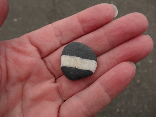 Banded rock from Tintagel