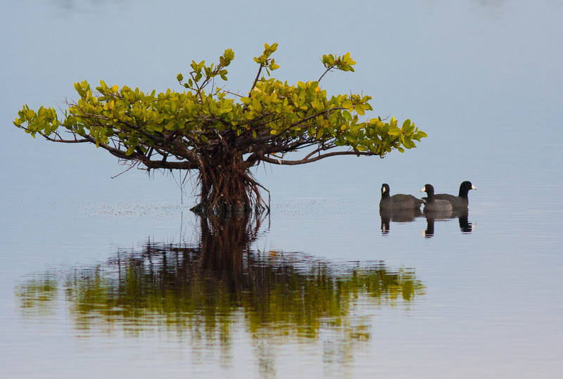 Photo & Video Sharing by SmugMug Photo & Video Sharing by SmugMug