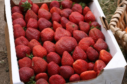 Farmer's Market Strawberries