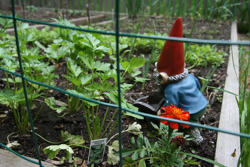 gnome at work