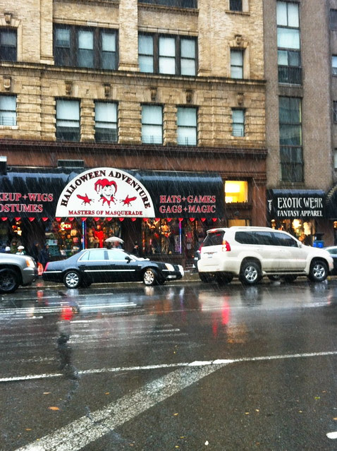 Storm Scene: the Nor'easter in Manhattan