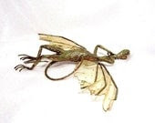 Fairy Dragon Art Doll: Oakleaf, Sleeping Dragon - MagicSeeker Fairy Dragon Art Doll: Oakleaf, Sleeping Dragon - MagicSeeker