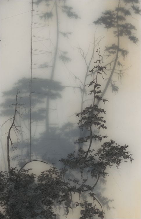 graphite art 25