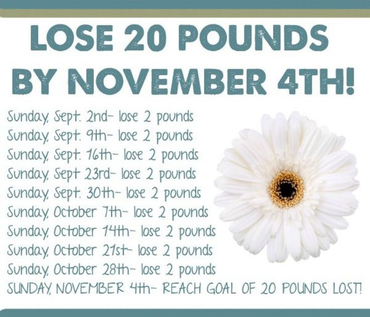 how-to-lose-weight-in-3-months-diet-plan
