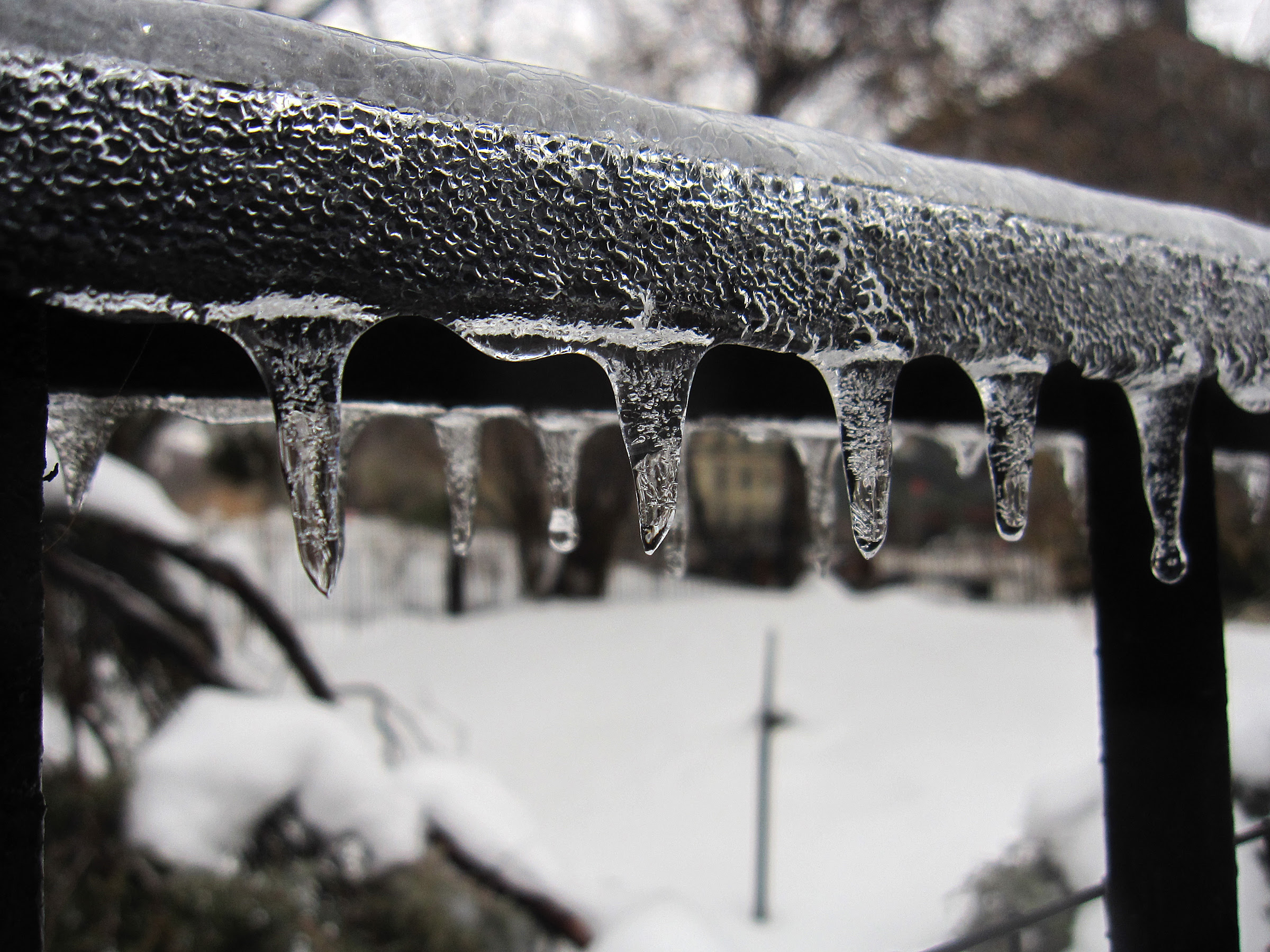 Frozen