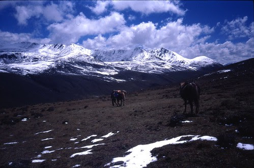 minya high