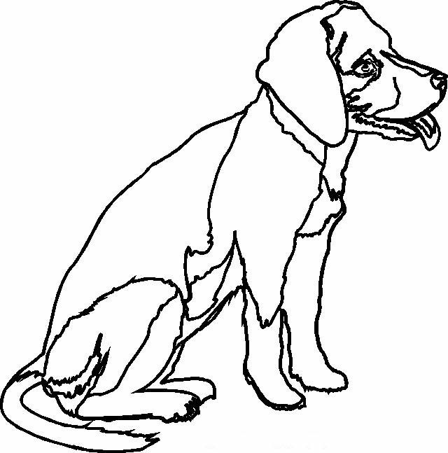 Disegni Da Colorare Cani Segugio Coloratutto Website