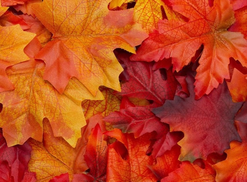 26++ Autumn Leaves Aesthetic Wallpaper - Basty Wallpaper