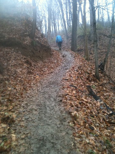 Pere Marquette Endurance Trail Run