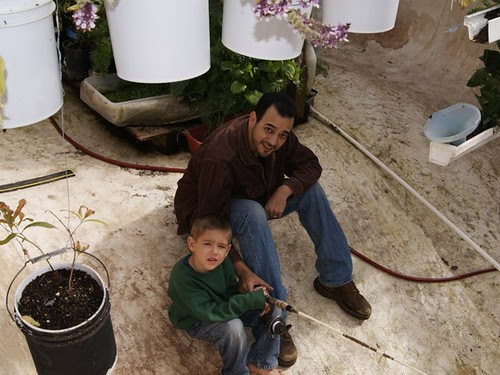 Fishing in the greenhouse