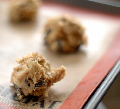 Cookie Dough