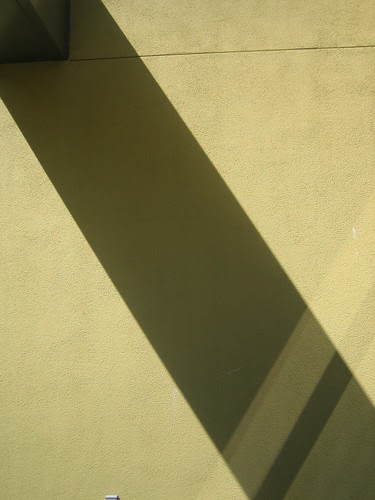 Light and Shadow _7190
