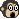 photo monkey05.gif