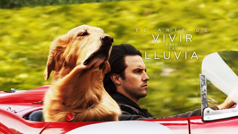 Download The Art of Racing in the Rain (2019) Movies HD