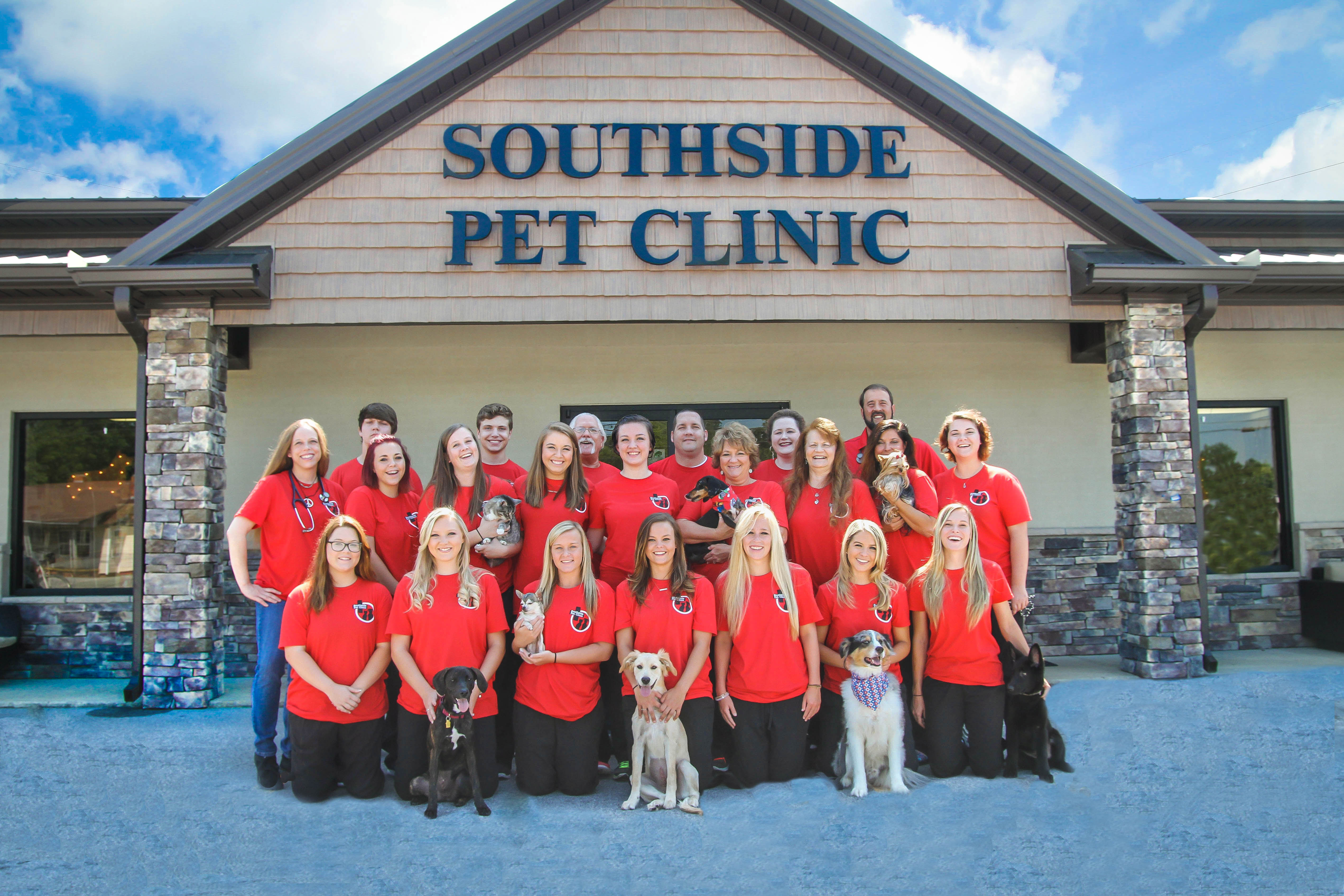 37 Best Images Southside Pet Clinic / Microchipping Southside
