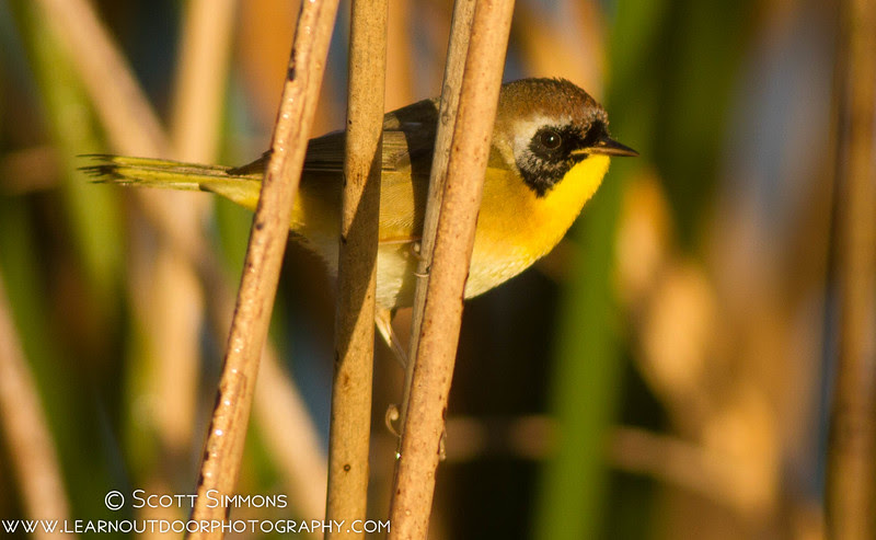 Orlando Wetlands Park Orlando Wetlands Park