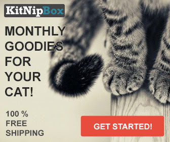 A monthly box of fun toys, healthy treats, and other goodies for your cat!