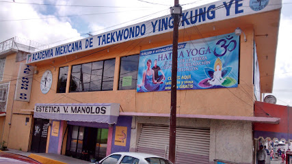 Academia Mexicana de Taekwondo Ying Kung Ye