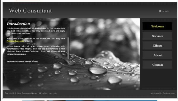 Flash Black Web Consultant Web2.0 Template