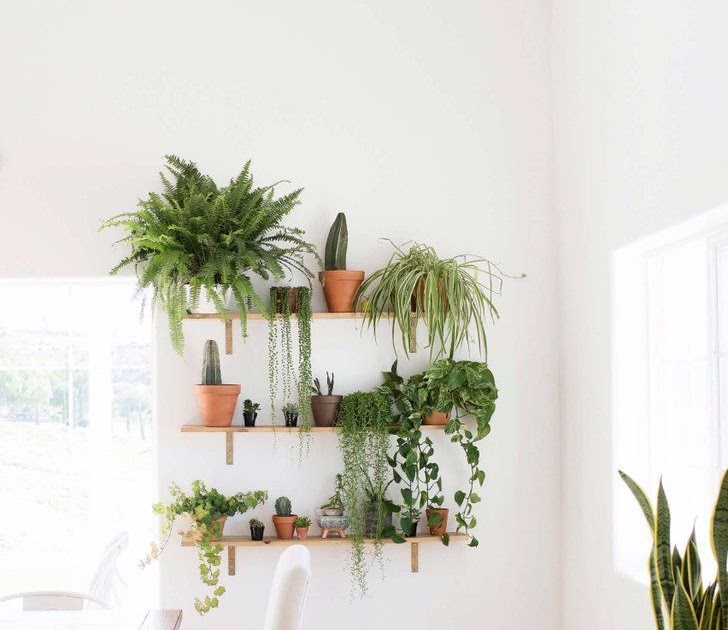 Living Room Interior Design With Plants