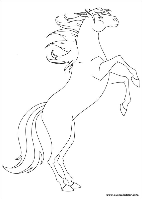 ausmalbilder pferde lenas ranch  x13 ein bild zeichnen