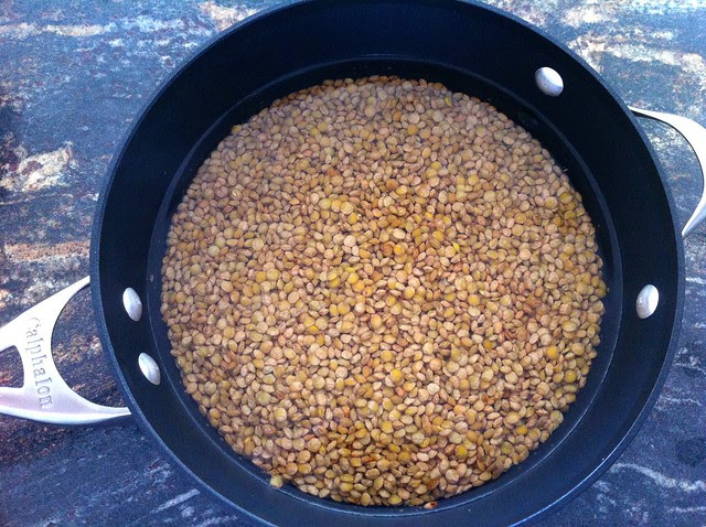 Lentils Added to Boiling Water
