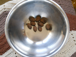 Our First Harvested Pecans
