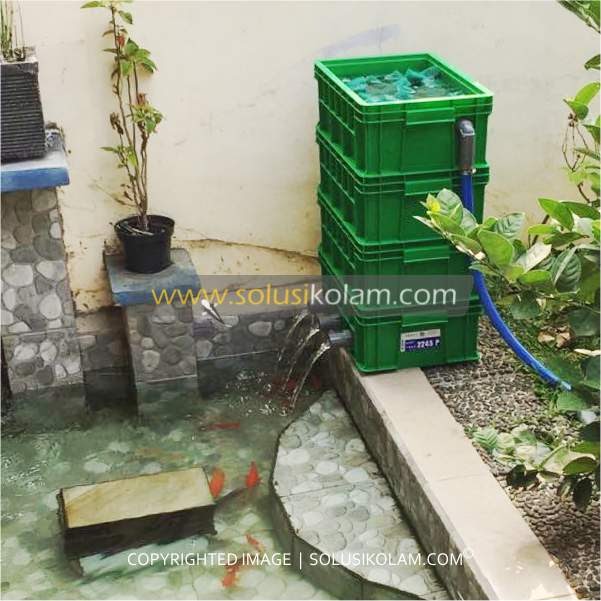 Cara Membuat Filter Kolam Ikan Sendiri