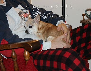 photo stelldad_zpsm2tjoyx4.jpg