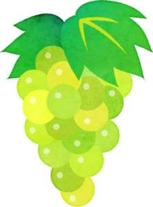 年の最高 マスカット イラスト イラスト