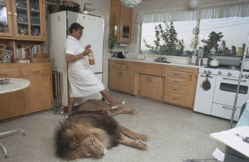 melanie griffith leu animal companie