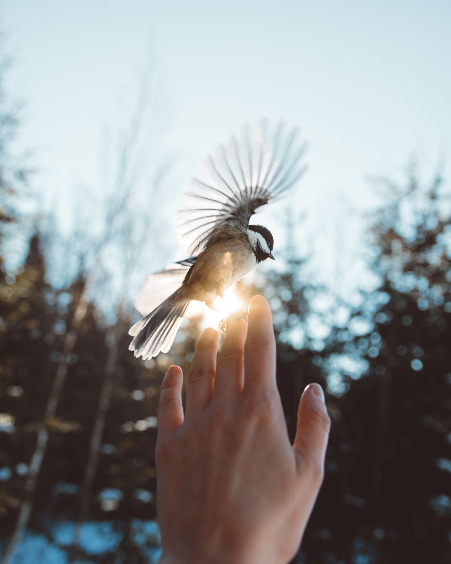 How I Got Seduced By Wildlife Photography How I Got Seduced By Wildlife Photography