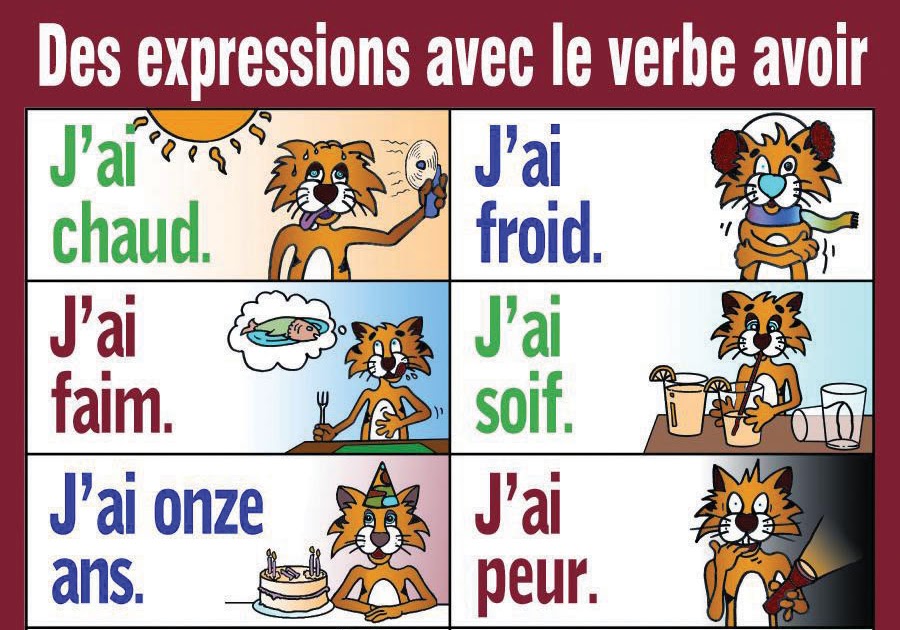 Les Expressions Avec Le Verbe Avoir Worksheet Answers