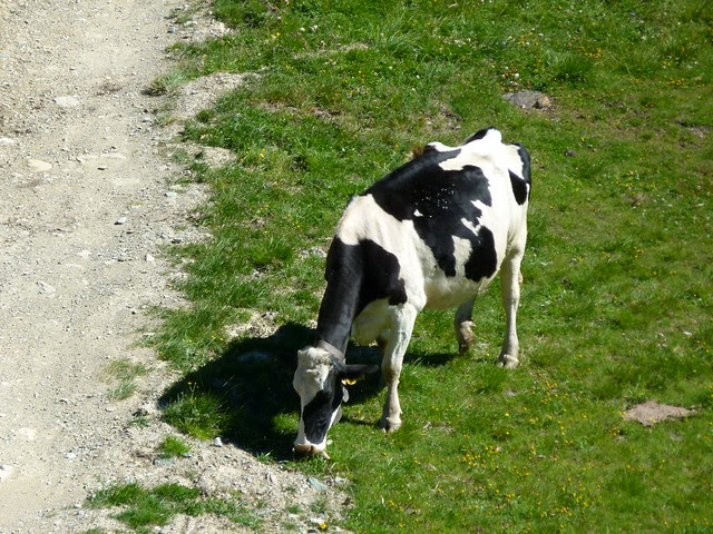Kappl 2012