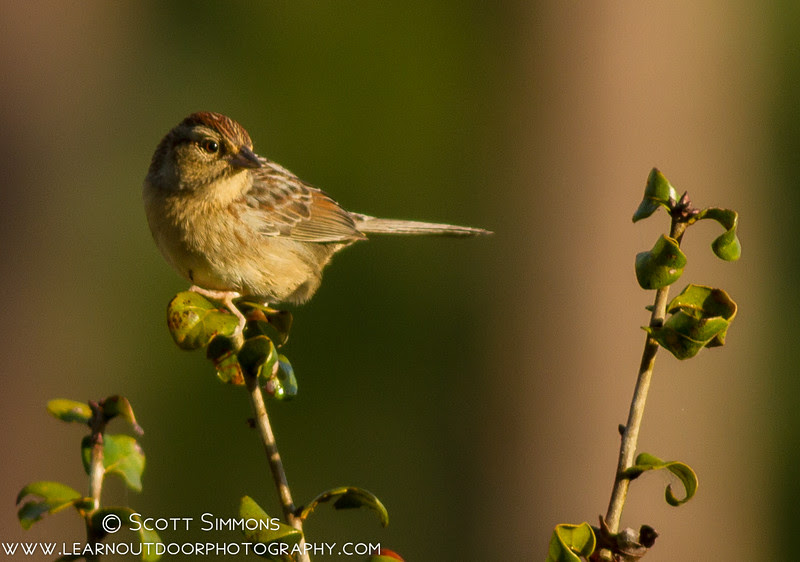 Photo & Video Sharing by SmugMug Photo & Video Sharing by SmugMug