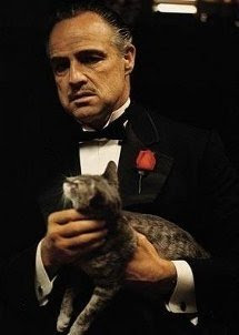 elpadrino