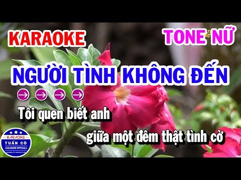Karaoke Người Tình Không Đến || Nhạc Sống Tone Nữ Beat Dễ Hát 2019 || Karaoke Tuấn Cò