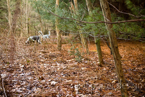 12-02oldnature06