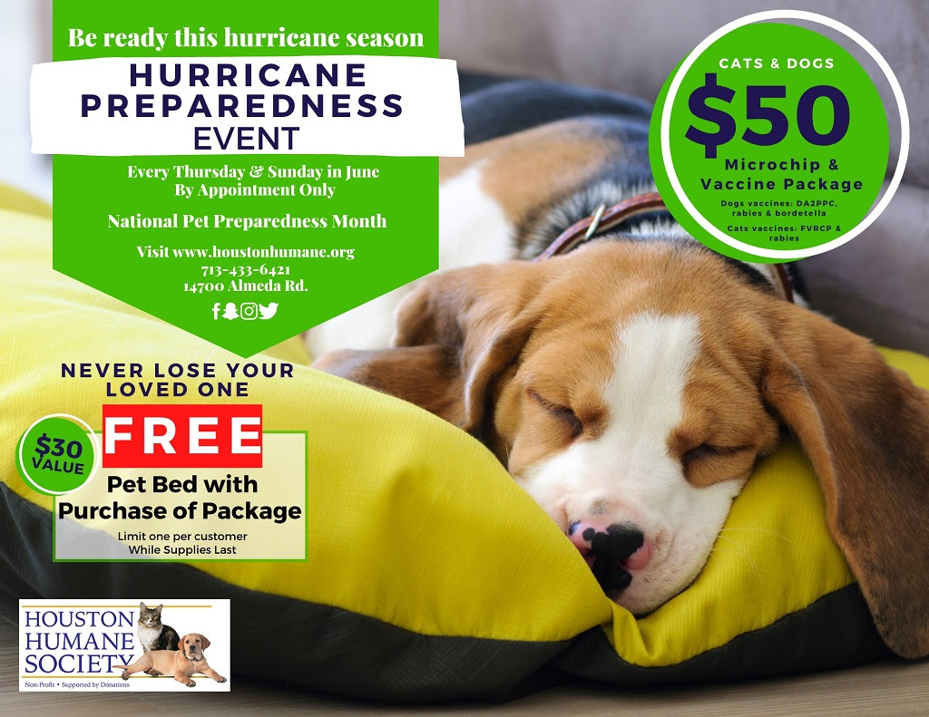 Affordable Pet Clinic Houston Tx Getting the services of