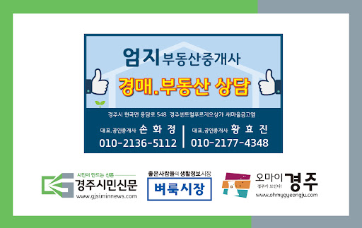 (전자책 무료증정) 돈 되는 부동산 경매로 시세보다 싸게 사는 법