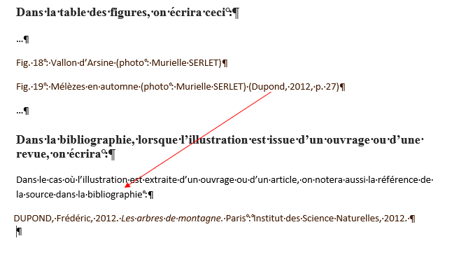 comment faire la bibliographie d'un site internet