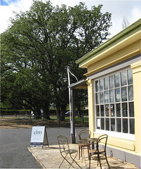 elm bothwell
