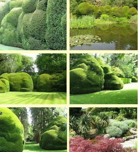 Doddington Place Garden